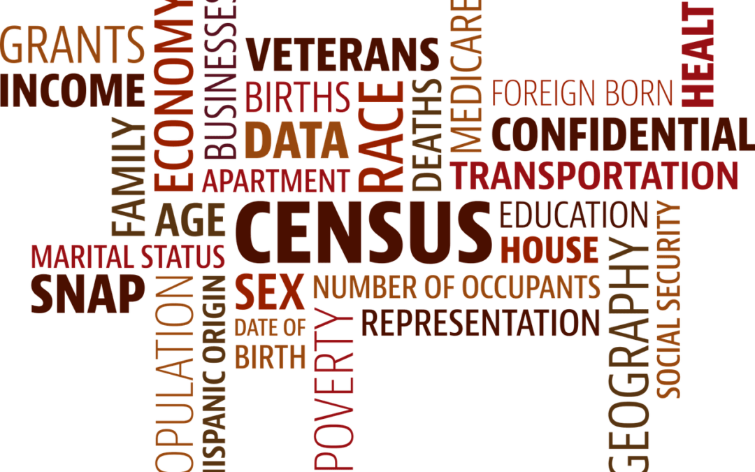 2020 Census